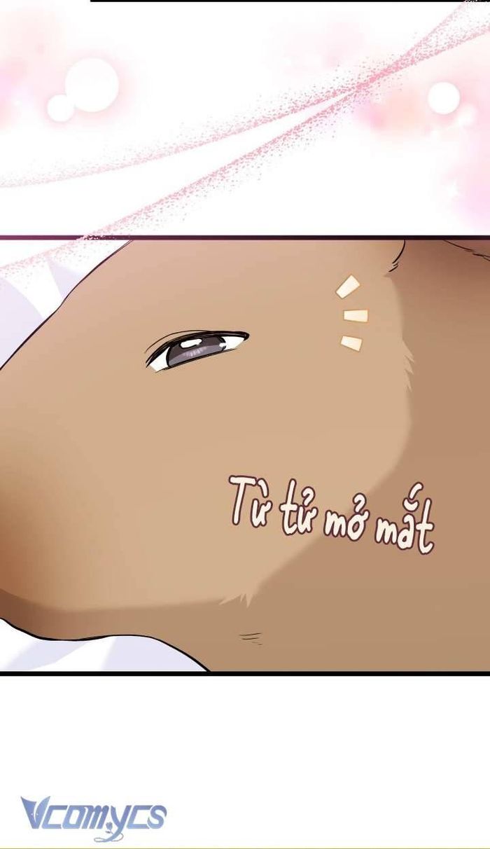Mối Quan Hệ Cộng Sinh Giữa Báo Đen Và Thỏ Trắng - Chap 123 Ảnh 30