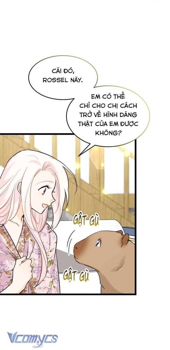Mối Quan Hệ Cộng Sinh Giữa Báo Đen Và Thỏ Trắng - Chap 123 Ảnh 38