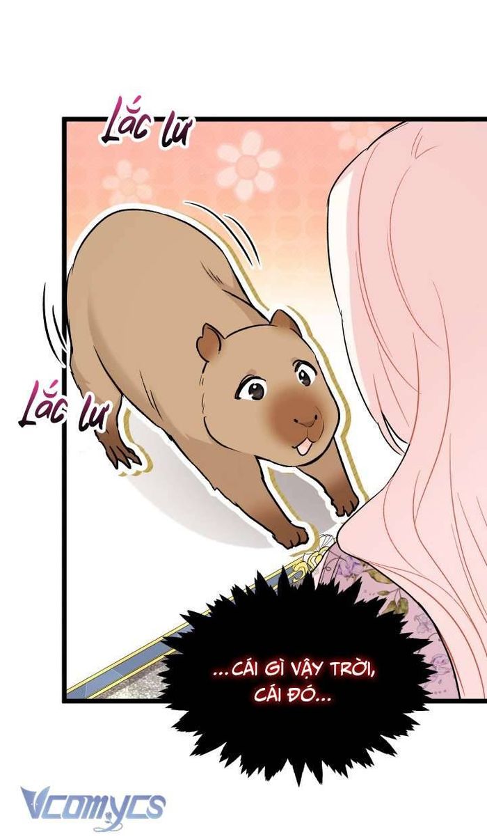 Mối Quan Hệ Cộng Sinh Giữa Báo Đen Và Thỏ Trắng - Chap 123 Ảnh 39