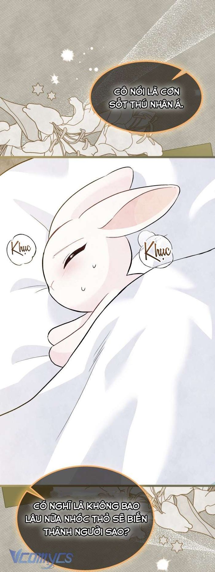 Mối Quan Hệ Cộng Sinh Giữa Báo Đen Và Thỏ Trắng - Chap 123 Ảnh 7