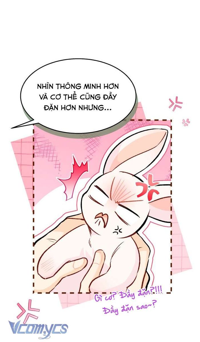 Mối Quan Hệ Cộng Sinh Giữa Báo Đen Và Thỏ Trắng - Chap 128 Ảnh 15