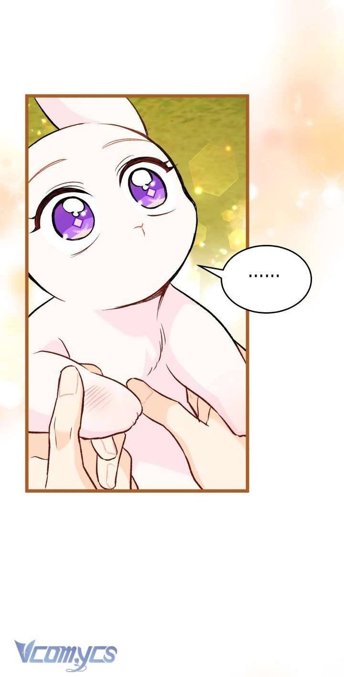 Mối Quan Hệ Cộng Sinh Giữa Báo Đen Và Thỏ Trắng - Chap 128 Ảnh 17