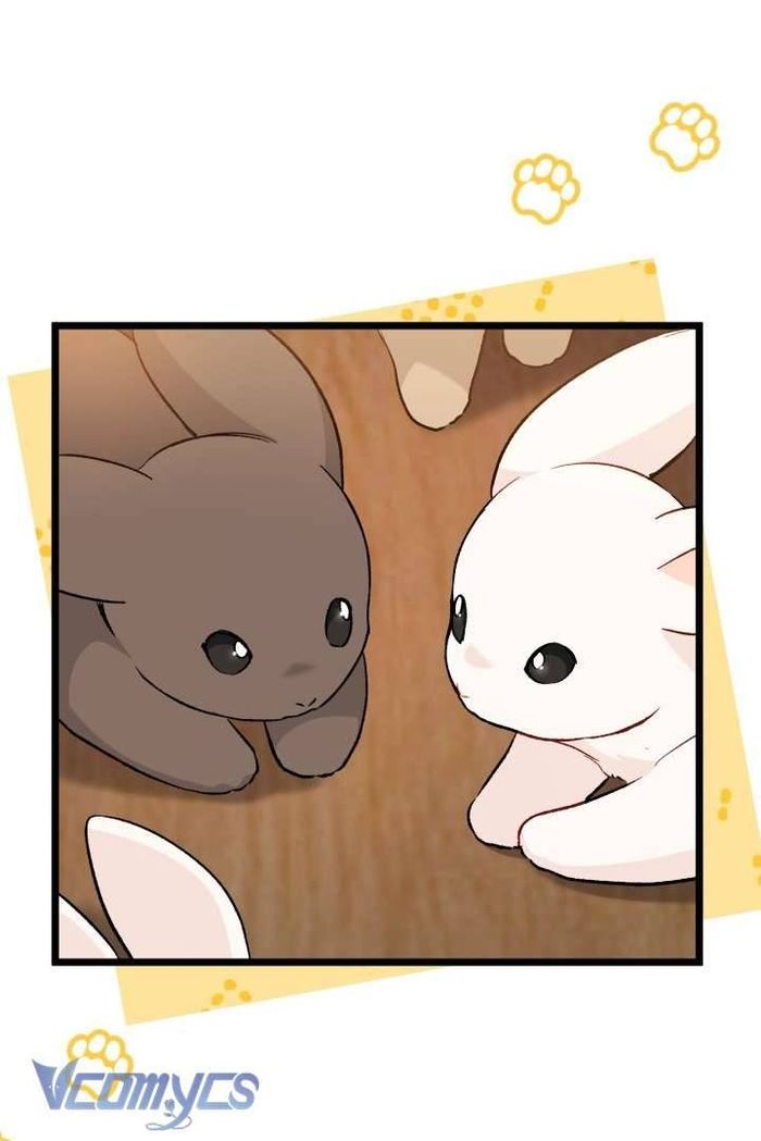 Mối Quan Hệ Cộng Sinh Giữa Báo Đen Và Thỏ Trắng - Chap 128 Ảnh 31