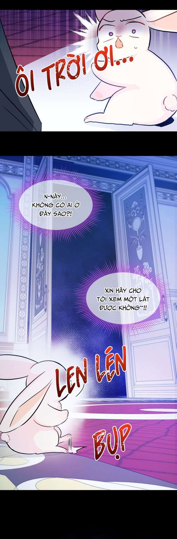 Mối Quan Hệ Cộng Sinh Giữa Báo Đen Và Thỏ Trắng - Chap 13 Ảnh 32