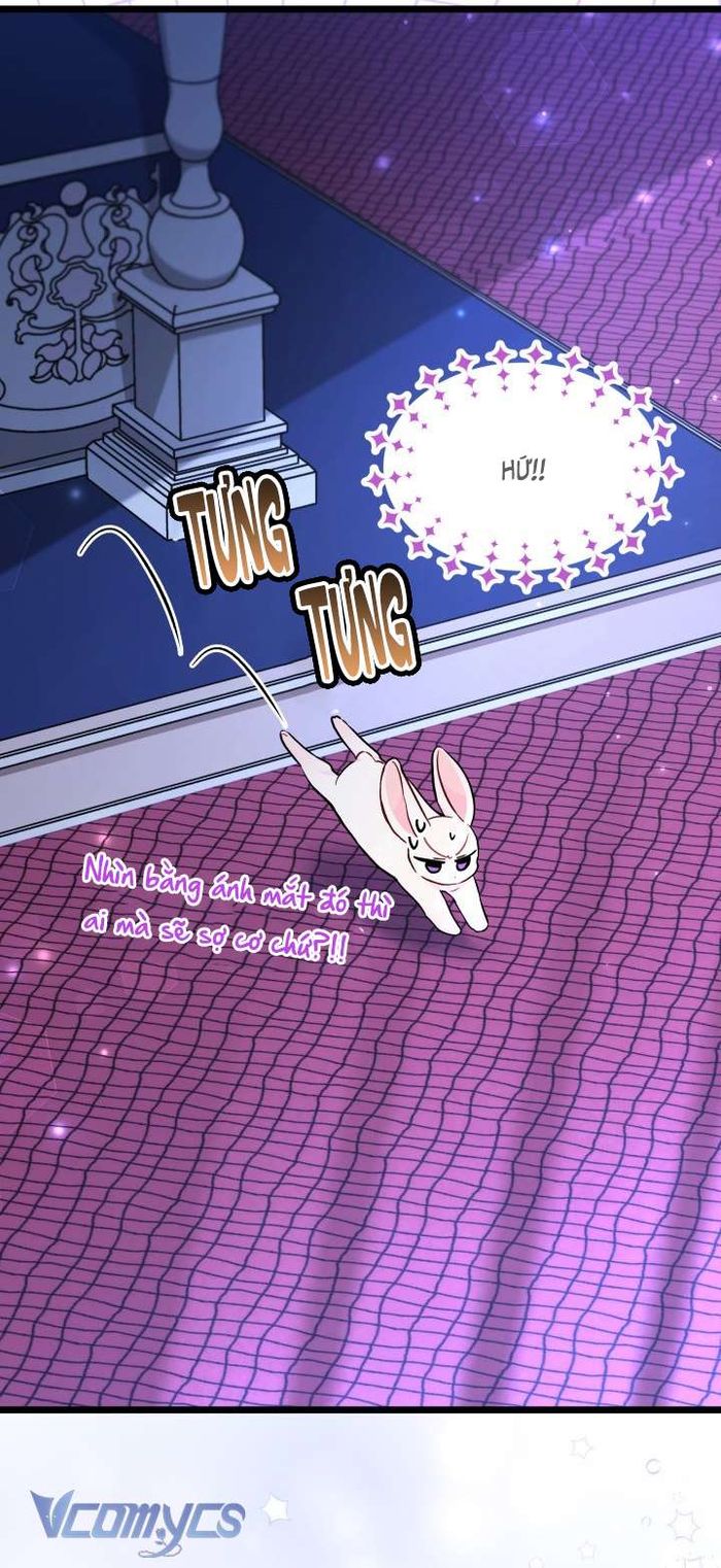Mối Quan Hệ Cộng Sinh Giữa Báo Đen Và Thỏ Trắng - Chap 130 Ảnh 26