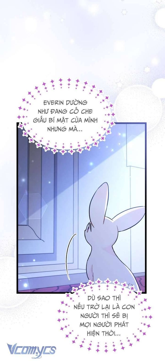 Mối Quan Hệ Cộng Sinh Giữa Báo Đen Và Thỏ Trắng - Chap 130 Ảnh 27