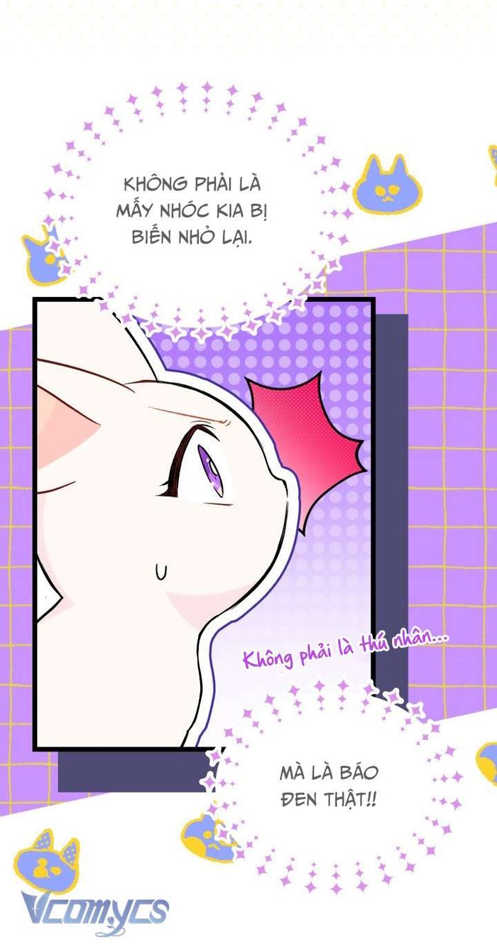 Mối Quan Hệ Cộng Sinh Giữa Báo Đen Và Thỏ Trắng - Chap 134 Ảnh 14