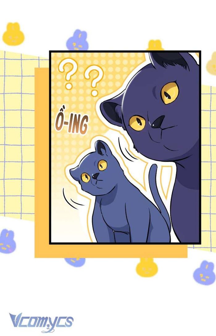 Mối Quan Hệ Cộng Sinh Giữa Báo Đen Và Thỏ Trắng - Chap 134 Ảnh 15
