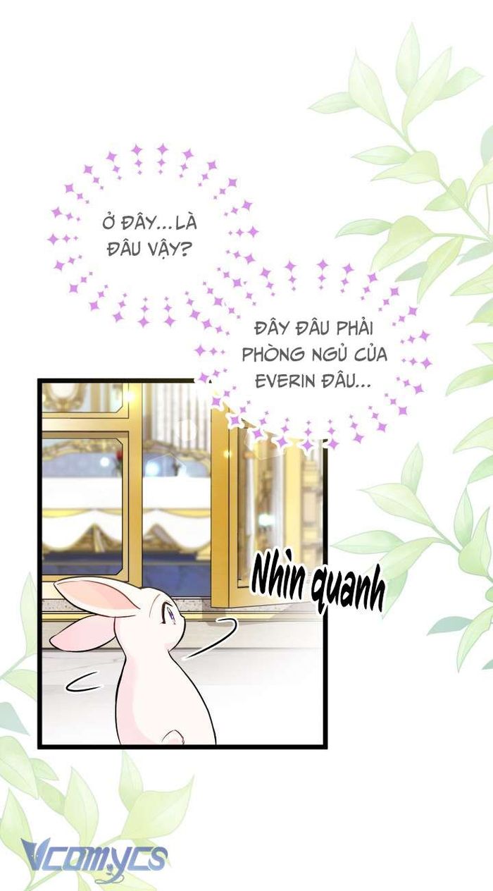 Mối Quan Hệ Cộng Sinh Giữa Báo Đen Và Thỏ Trắng - Chap 134 Ảnh 3