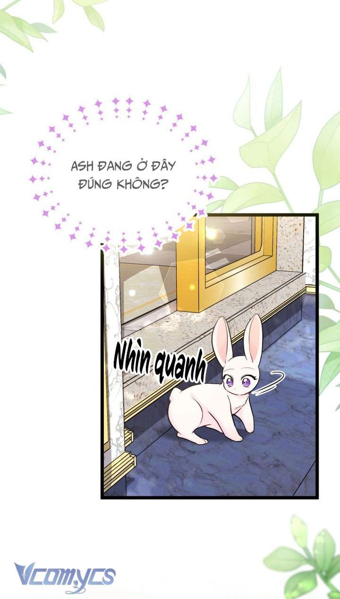 Mối Quan Hệ Cộng Sinh Giữa Báo Đen Và Thỏ Trắng - Chap 134 Ảnh 4