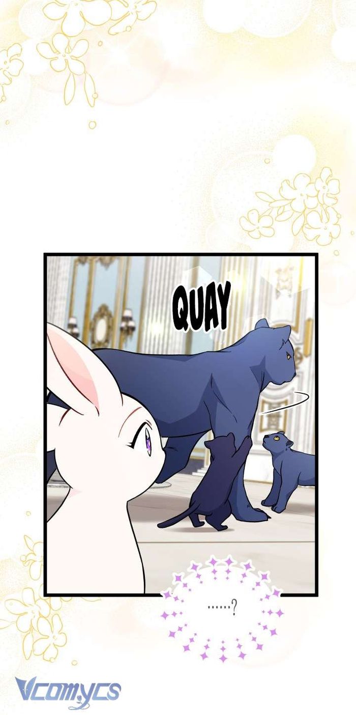 Mối Quan Hệ Cộng Sinh Giữa Báo Đen Và Thỏ Trắng - Chap 134 Ảnh 33