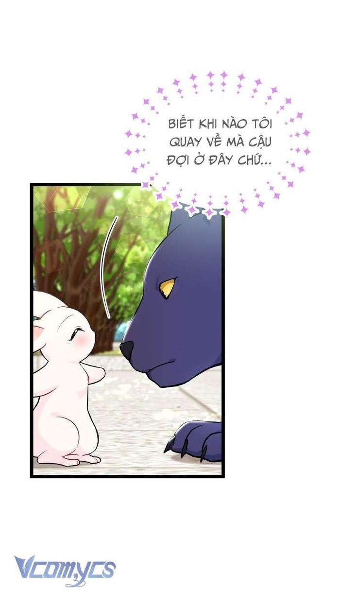 Mối Quan Hệ Cộng Sinh Giữa Báo Đen Và Thỏ Trắng - Chap 134 Ảnh 58