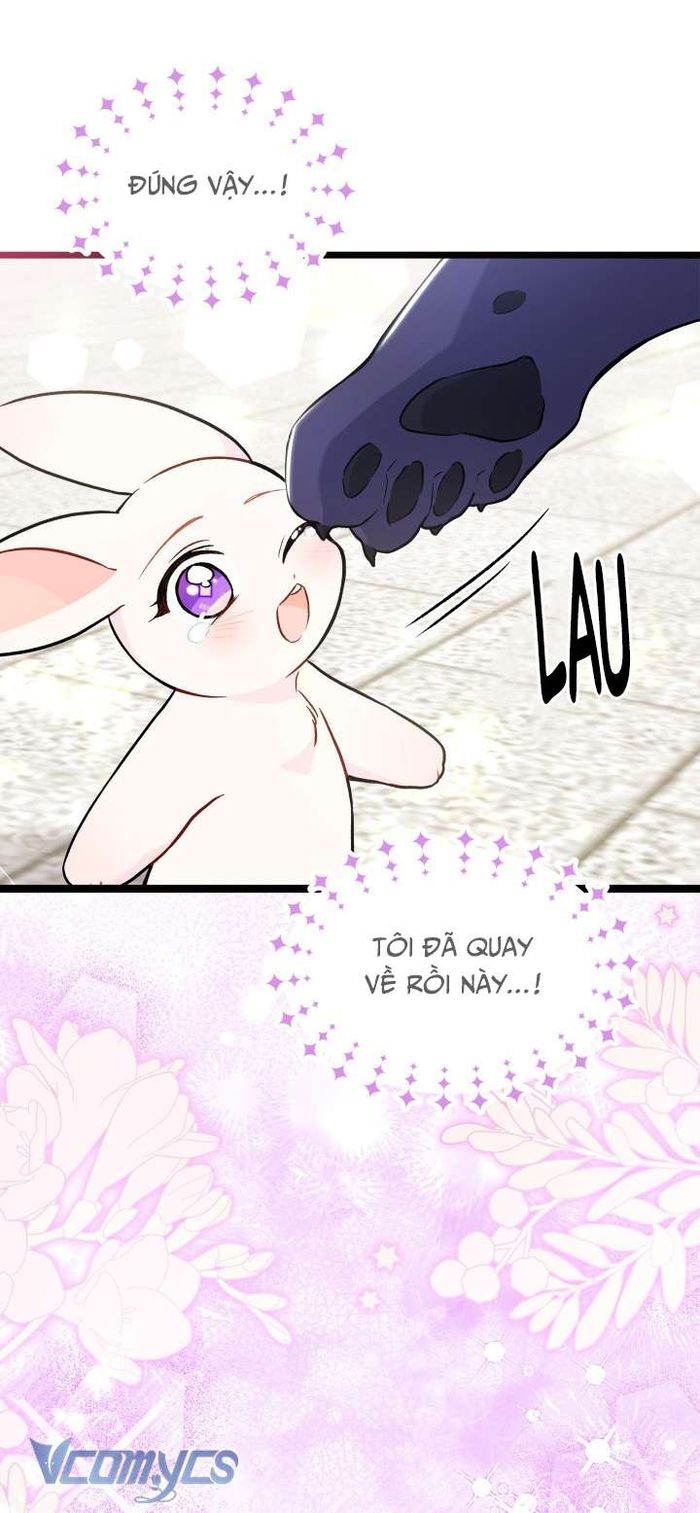 Mối Quan Hệ Cộng Sinh Giữa Báo Đen Và Thỏ Trắng - Chap 134 Ảnh 59