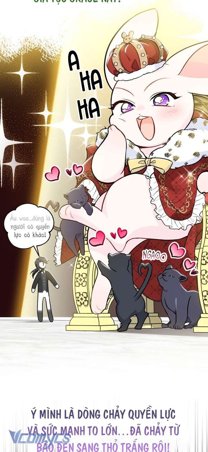 Mối Quan Hệ Cộng Sinh Giữa Báo Đen Và Thỏ Trắng - Chap 136 Ảnh 7