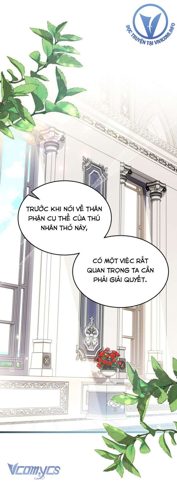 Mối Quan Hệ Cộng Sinh Giữa Báo Đen Và Thỏ Trắng - Chap 141 Ảnh 2
