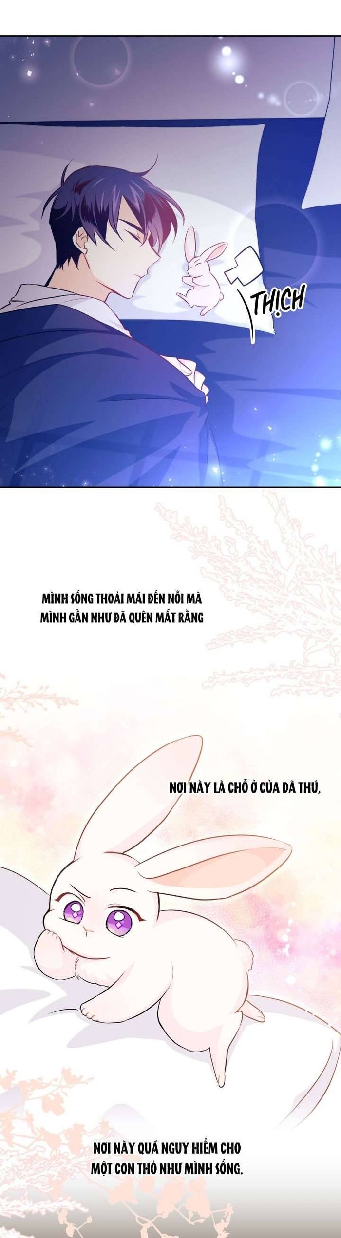 Mối Quan Hệ Cộng Sinh Giữa Báo Đen Và Thỏ Trắng - Chap 16 Ảnh 20