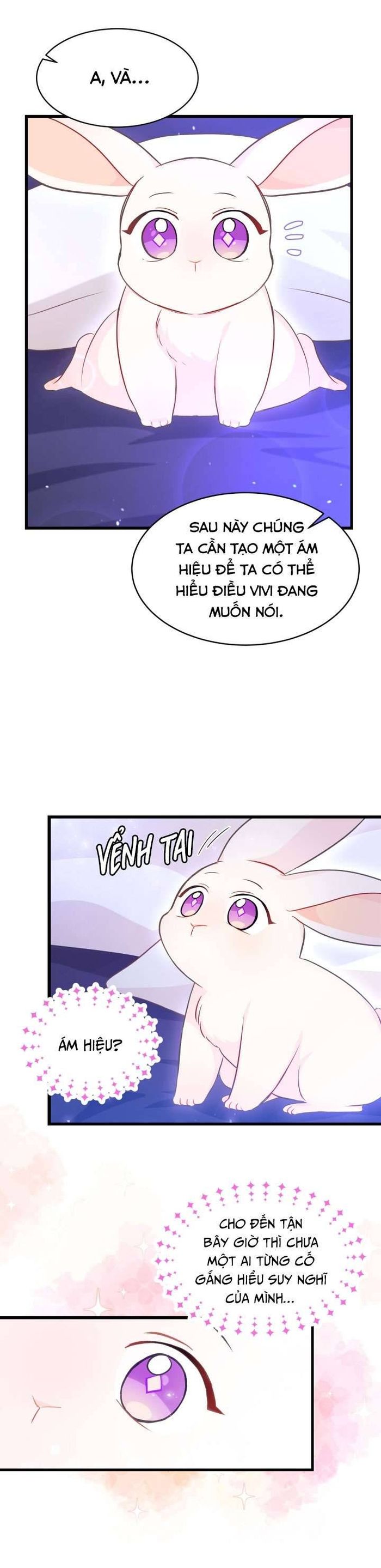 Mối Quan Hệ Cộng Sinh Giữa Báo Đen Và Thỏ Trắng - Chap 16 Ảnh 4