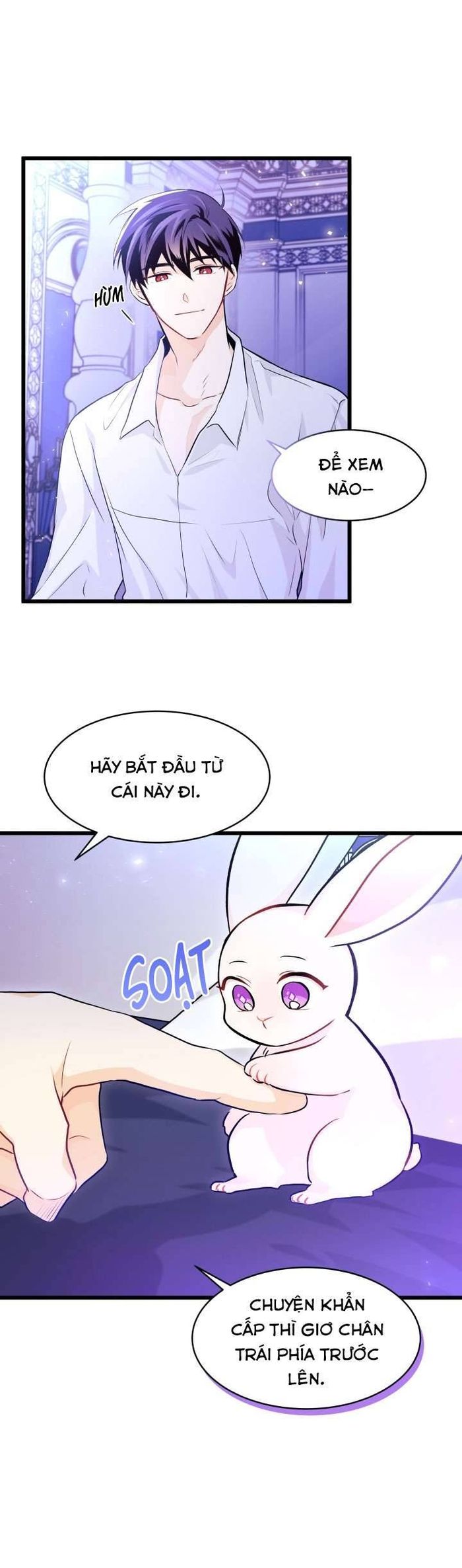 Mối Quan Hệ Cộng Sinh Giữa Báo Đen Và Thỏ Trắng - Chap 16 Ảnh 5