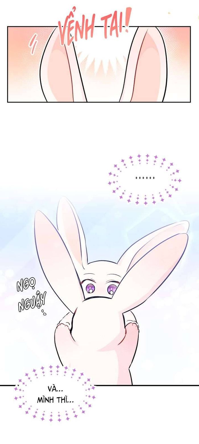 Mối Quan Hệ Cộng Sinh Giữa Báo Đen Và Thỏ Trắng - Chap 16 Ảnh 41