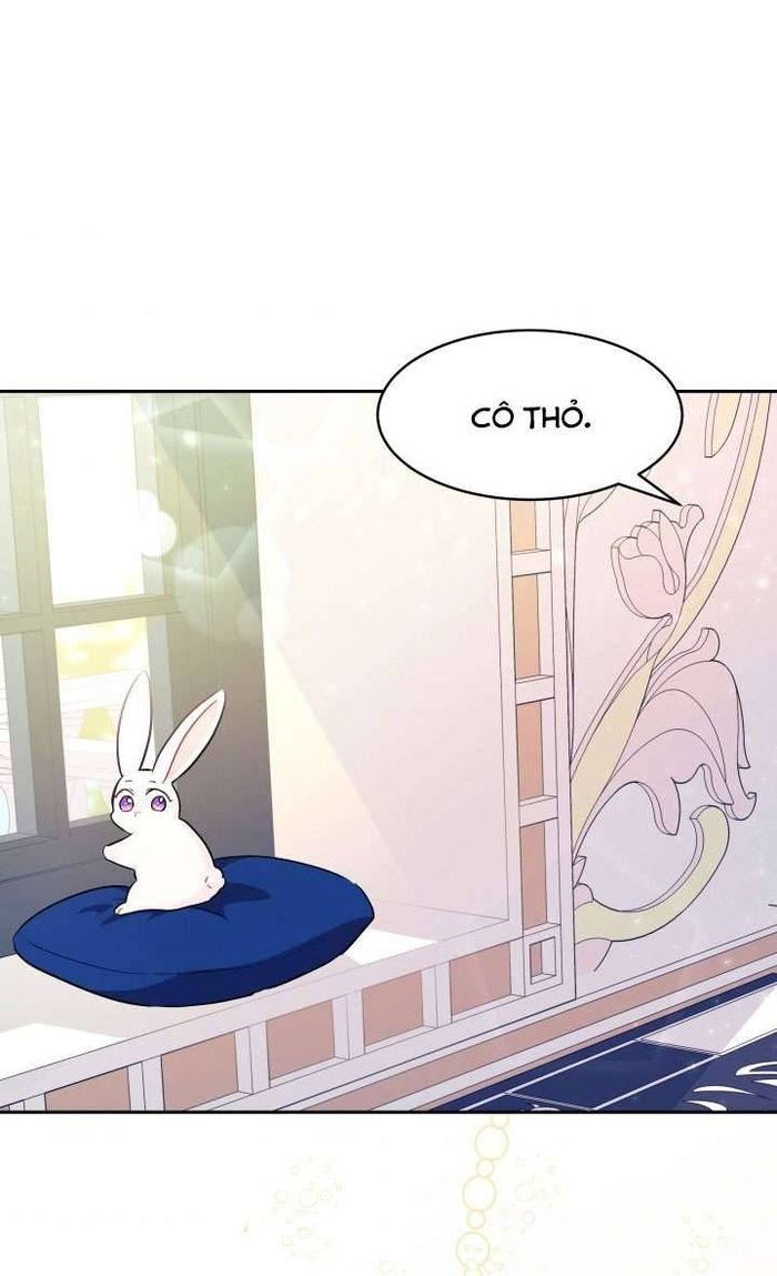 Mối Quan Hệ Cộng Sinh Giữa Báo Đen Và Thỏ Trắng - Chap 16 Ảnh 42