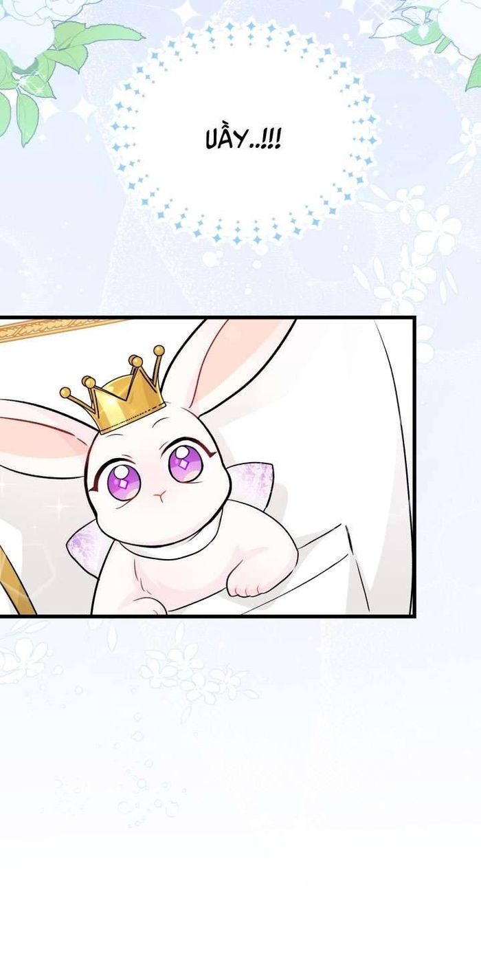 Mối Quan Hệ Cộng Sinh Giữa Báo Đen Và Thỏ Trắng - Chap 17 Ảnh 34