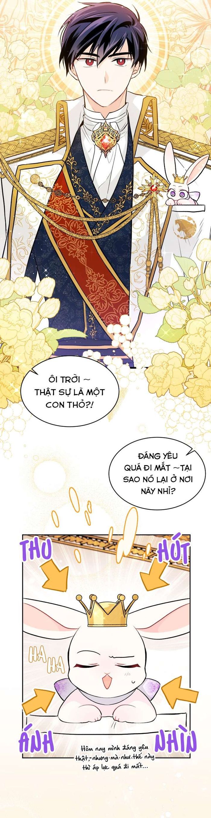 Mối Quan Hệ Cộng Sinh Giữa Báo Đen Và Thỏ Trắng - Chap 18 Ảnh 3