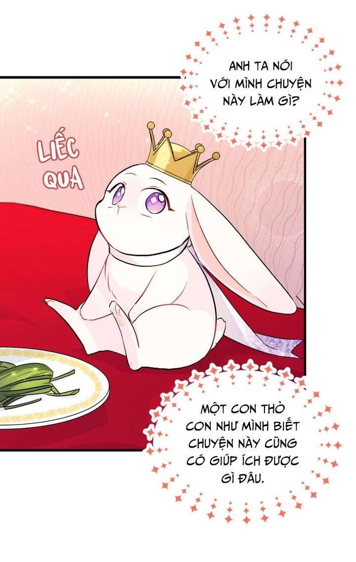 Mối Quan Hệ Cộng Sinh Giữa Báo Đen Và Thỏ Trắng - Chap 18 Ảnh 28
