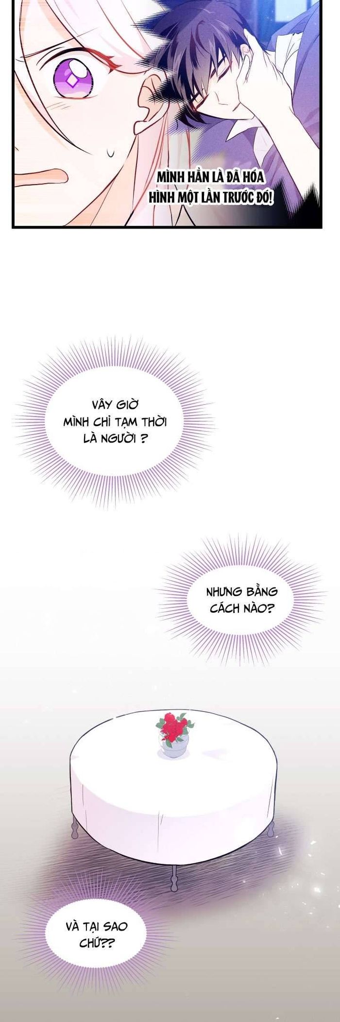 Mối Quan Hệ Cộng Sinh Giữa Báo Đen Và Thỏ Trắng - Chap 19 Ảnh 24