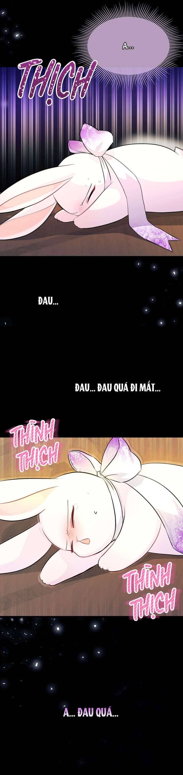 Mối Quan Hệ Cộng Sinh Giữa Báo Đen Và Thỏ Trắng - Chap 19 Ảnh 7
