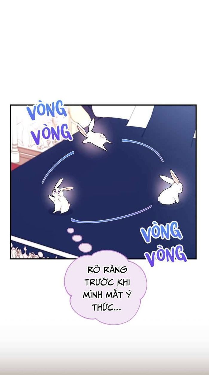 Mối Quan Hệ Cộng Sinh Giữa Báo Đen Và Thỏ Trắng - Chap 2 Ảnh 4