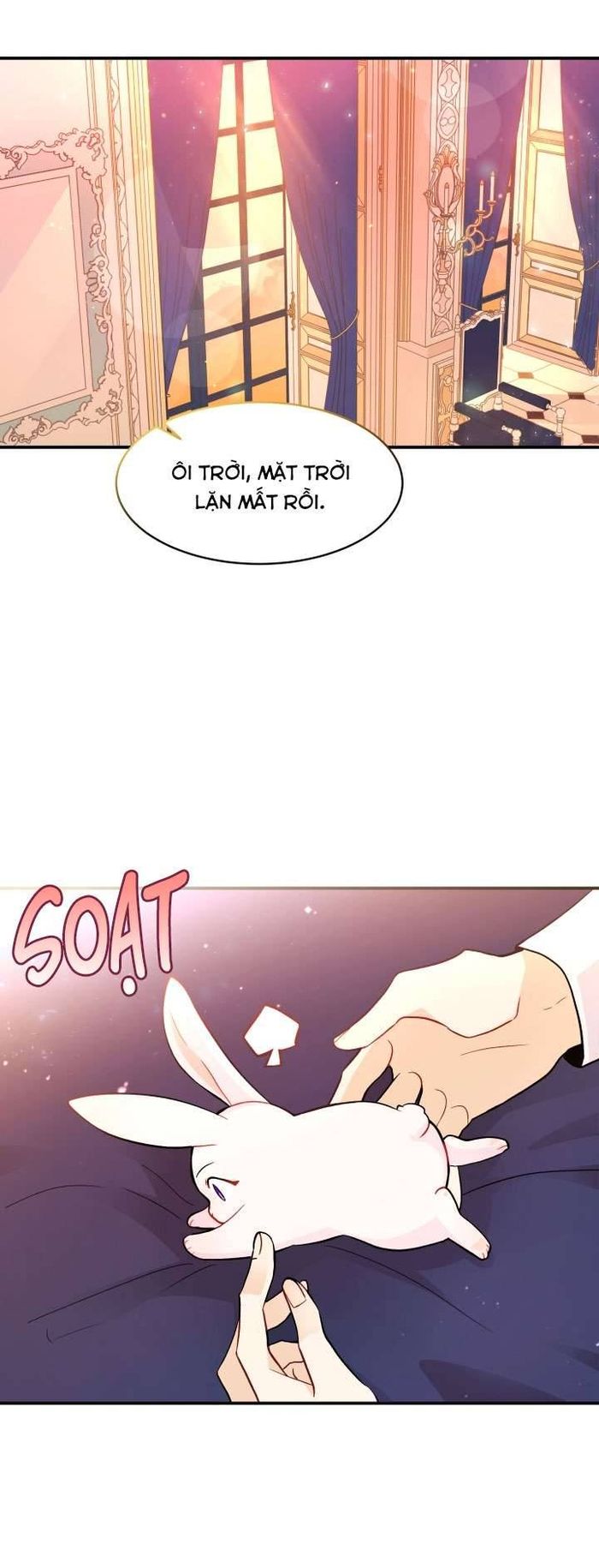 Mối Quan Hệ Cộng Sinh Giữa Báo Đen Và Thỏ Trắng - Chap 2 Ảnh 39