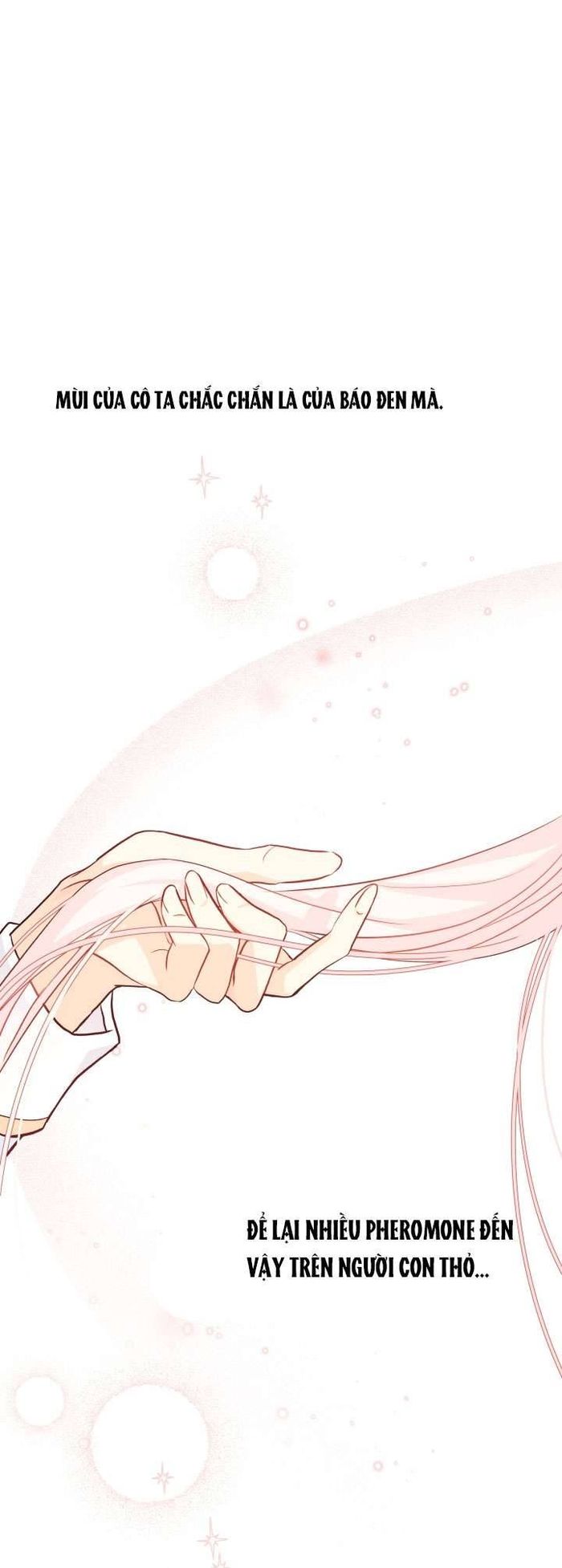 Mối Quan Hệ Cộng Sinh Giữa Báo Đen Và Thỏ Trắng - Chap 21 Ảnh 35
