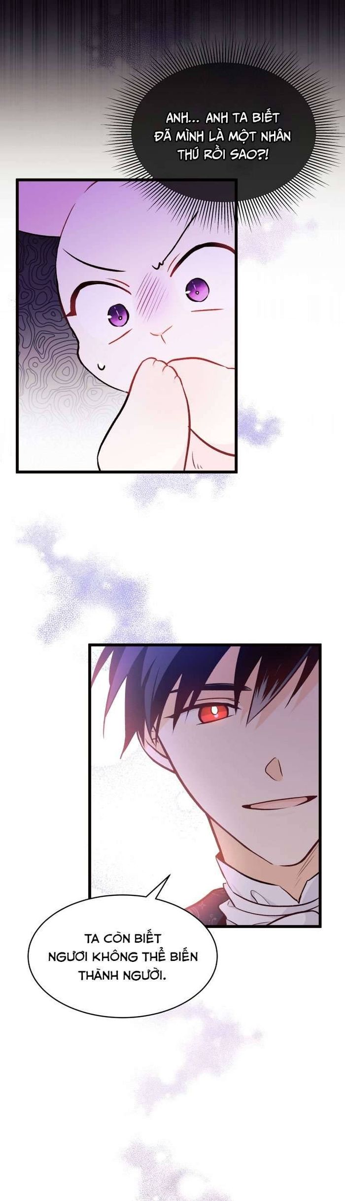 Mối Quan Hệ Cộng Sinh Giữa Báo Đen Và Thỏ Trắng - Chap 22 Ảnh 20