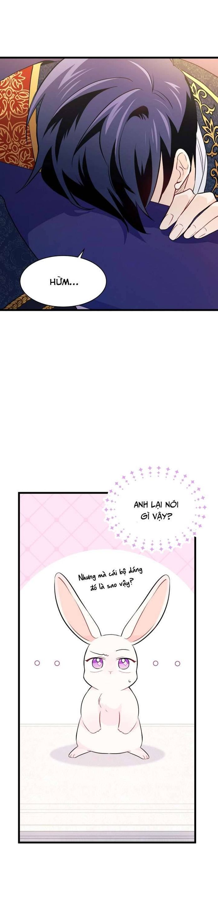 Mối Quan Hệ Cộng Sinh Giữa Báo Đen Và Thỏ Trắng - Chap 22 Ảnh 3