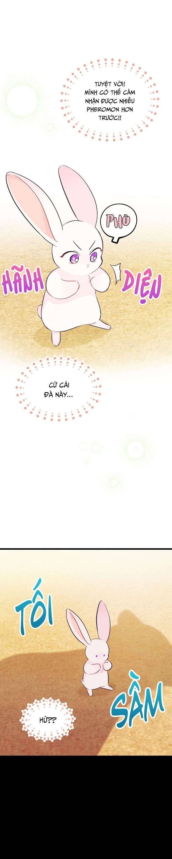 Mối Quan Hệ Cộng Sinh Giữa Báo Đen Và Thỏ Trắng - Chap 23 Ảnh 2