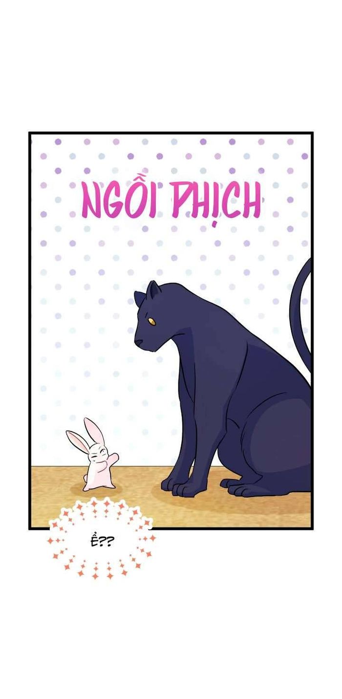 Mối Quan Hệ Cộng Sinh Giữa Báo Đen Và Thỏ Trắng - Chap 23 Ảnh 11