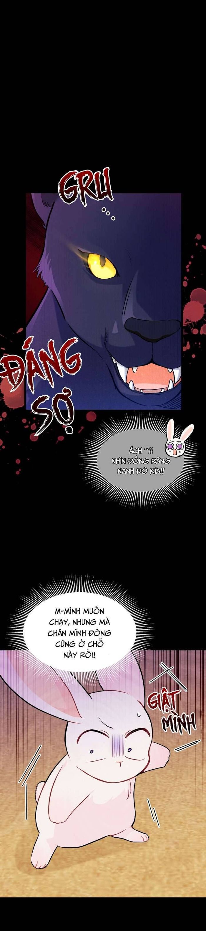 Mối Quan Hệ Cộng Sinh Giữa Báo Đen Và Thỏ Trắng - Chap 23 Ảnh 8