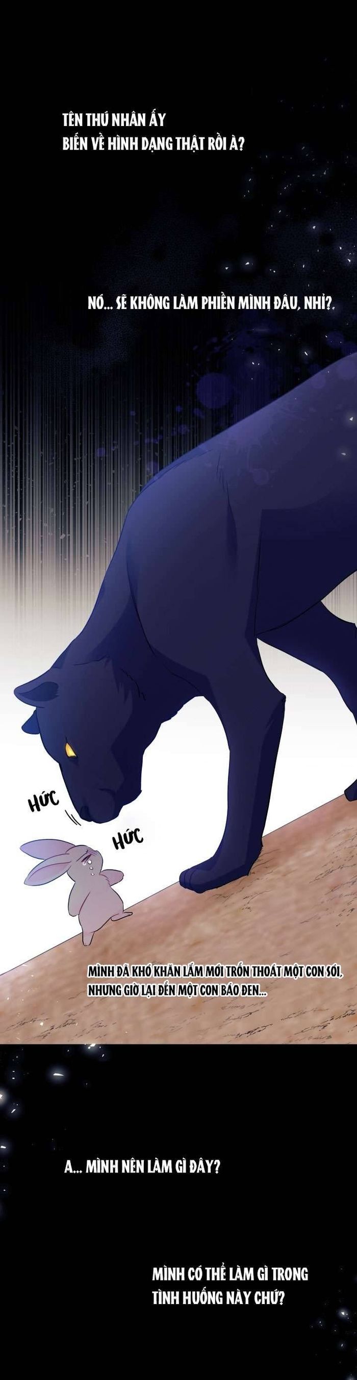 Mối Quan Hệ Cộng Sinh Giữa Báo Đen Và Thỏ Trắng - Chap 23 Ảnh 9