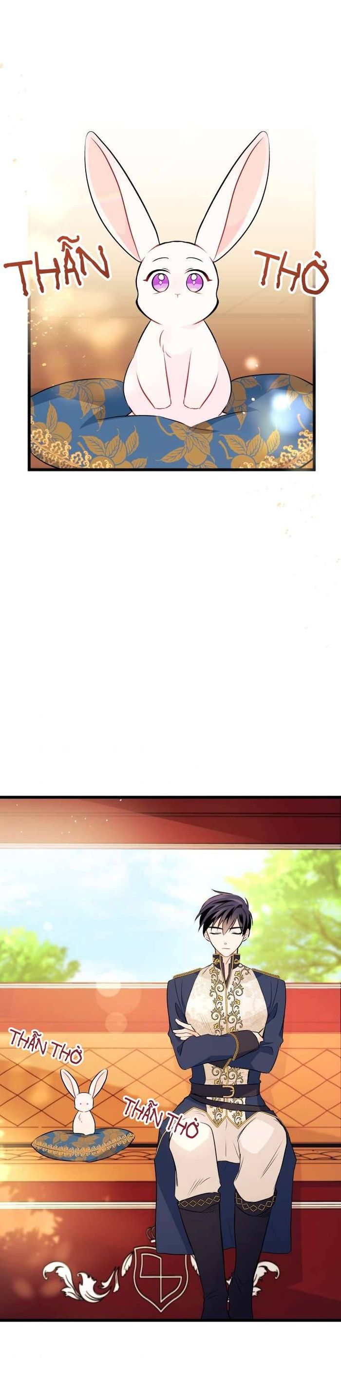 Mối Quan Hệ Cộng Sinh Giữa Báo Đen Và Thỏ Trắng - Chap 26 Ảnh 27