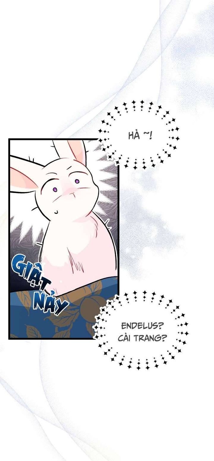 Mối Quan Hệ Cộng Sinh Giữa Báo Đen Và Thỏ Trắng - Chap 26 Ảnh 34