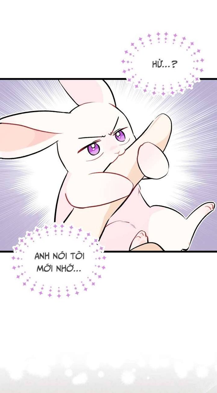 Mối Quan Hệ Cộng Sinh Giữa Báo Đen Và Thỏ Trắng - Chap 26 Ảnh 41