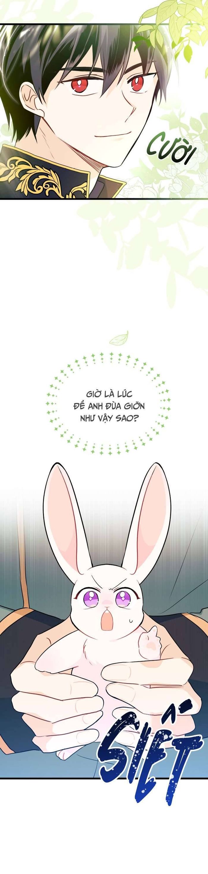 Mối Quan Hệ Cộng Sinh Giữa Báo Đen Và Thỏ Trắng - Chap 27 Ảnh 19