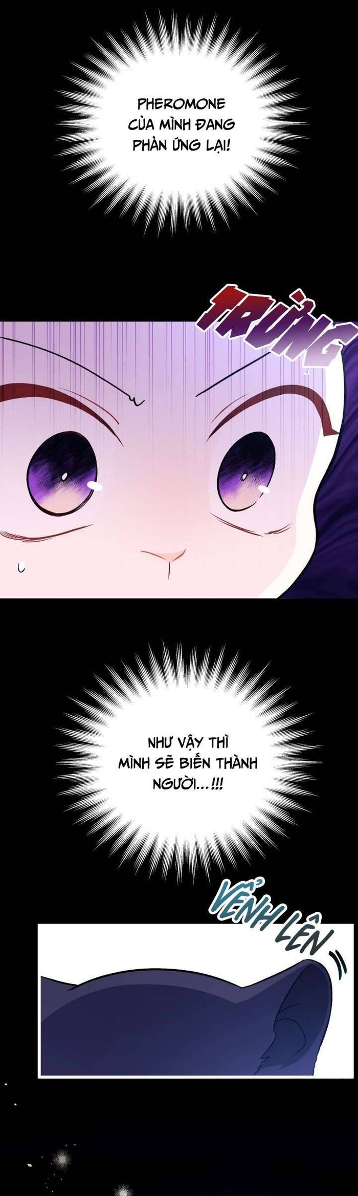 Mối Quan Hệ Cộng Sinh Giữa Báo Đen Và Thỏ Trắng - Chap 27 Ảnh 41