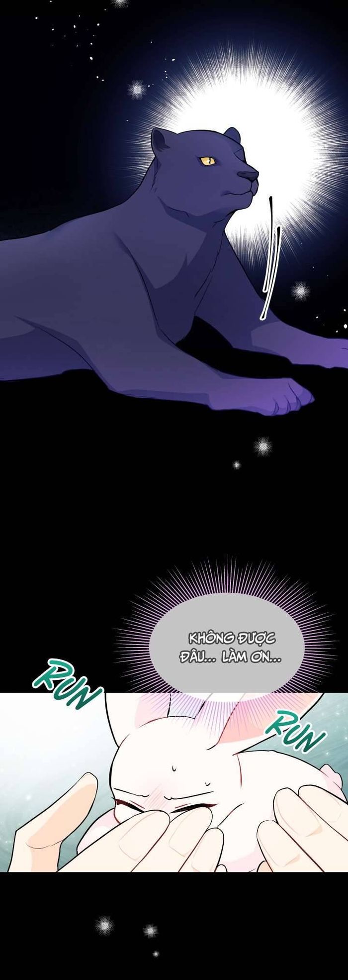 Mối Quan Hệ Cộng Sinh Giữa Báo Đen Và Thỏ Trắng - Chap 27 Ảnh 42