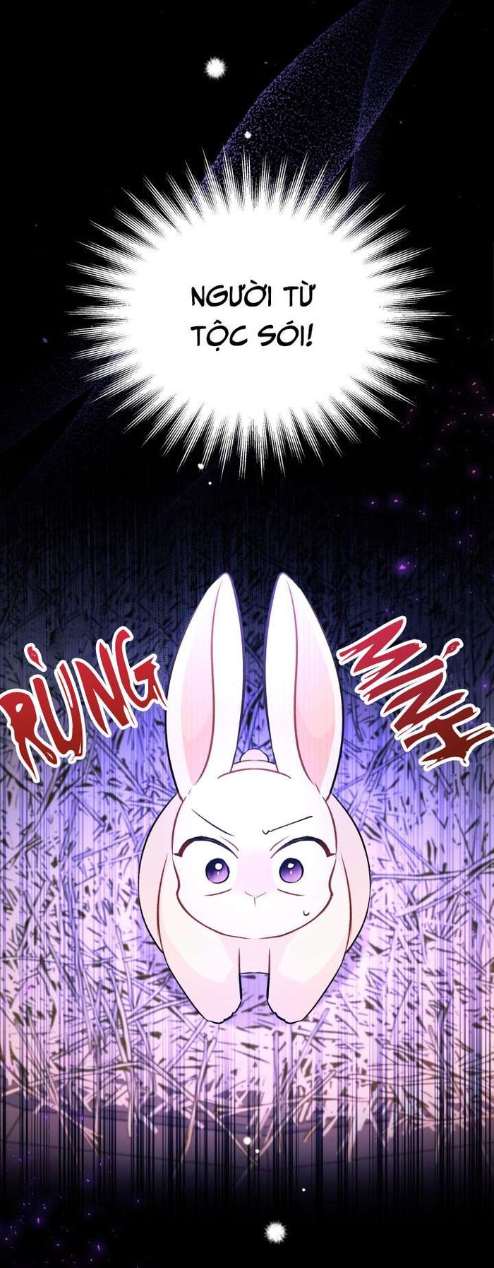 Mối Quan Hệ Cộng Sinh Giữa Báo Đen Và Thỏ Trắng - Chap 28 Ảnh 13