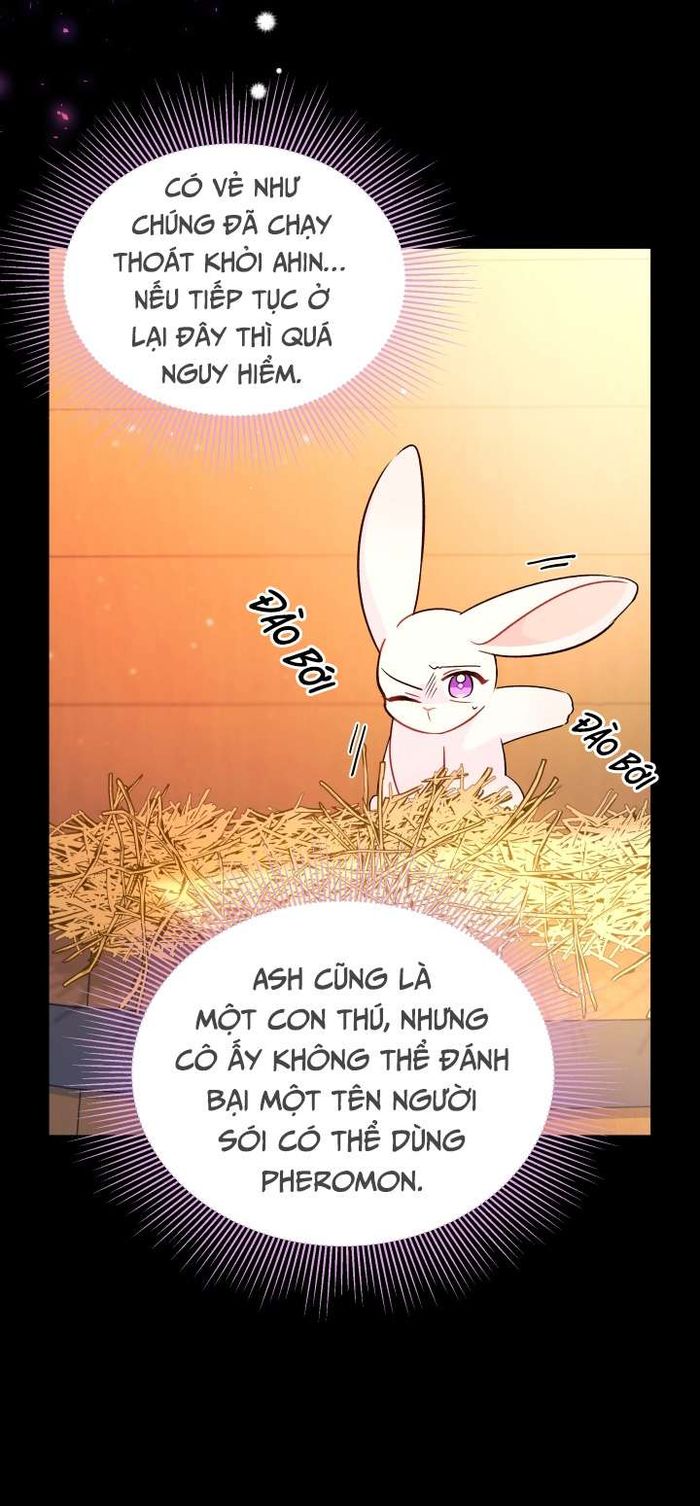Mối Quan Hệ Cộng Sinh Giữa Báo Đen Và Thỏ Trắng - Chap 28 Ảnh 14