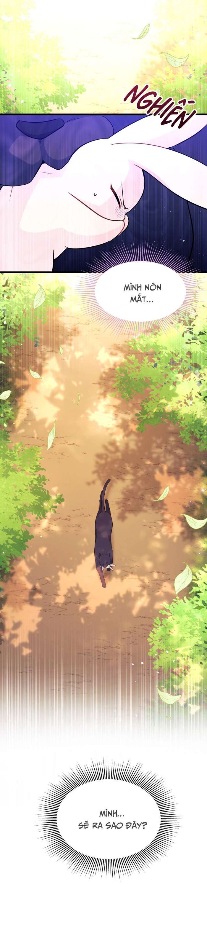 Mối Quan Hệ Cộng Sinh Giữa Báo Đen Và Thỏ Trắng - Chap 28 Ảnh 4