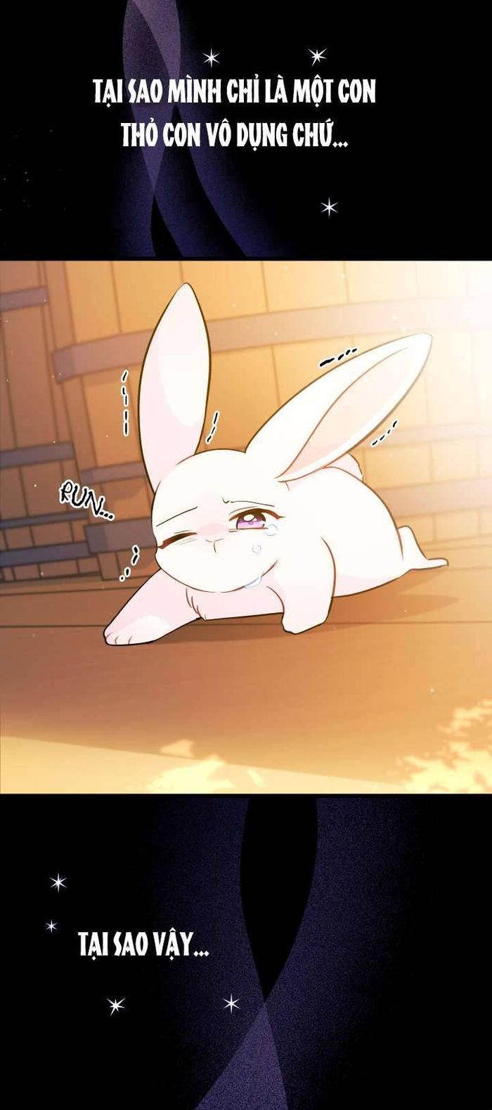 Mối Quan Hệ Cộng Sinh Giữa Báo Đen Và Thỏ Trắng - Chap 28 Ảnh 38