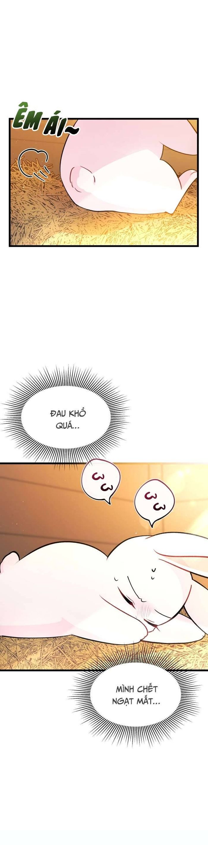 Mối Quan Hệ Cộng Sinh Giữa Báo Đen Và Thỏ Trắng - Chap 28 Ảnh 6