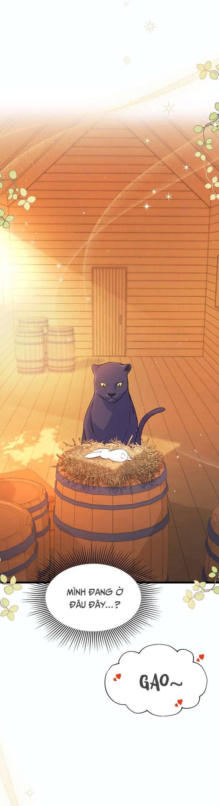 Mối Quan Hệ Cộng Sinh Giữa Báo Đen Và Thỏ Trắng - Chap 28 Ảnh 7
